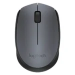 Mouse