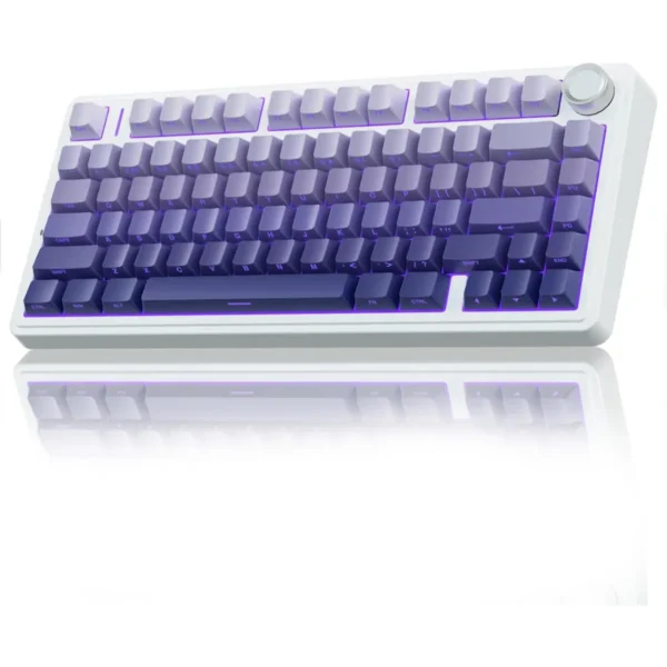 Aula F75 Pro Premium Wireless Mechanical Gaming Keyboard